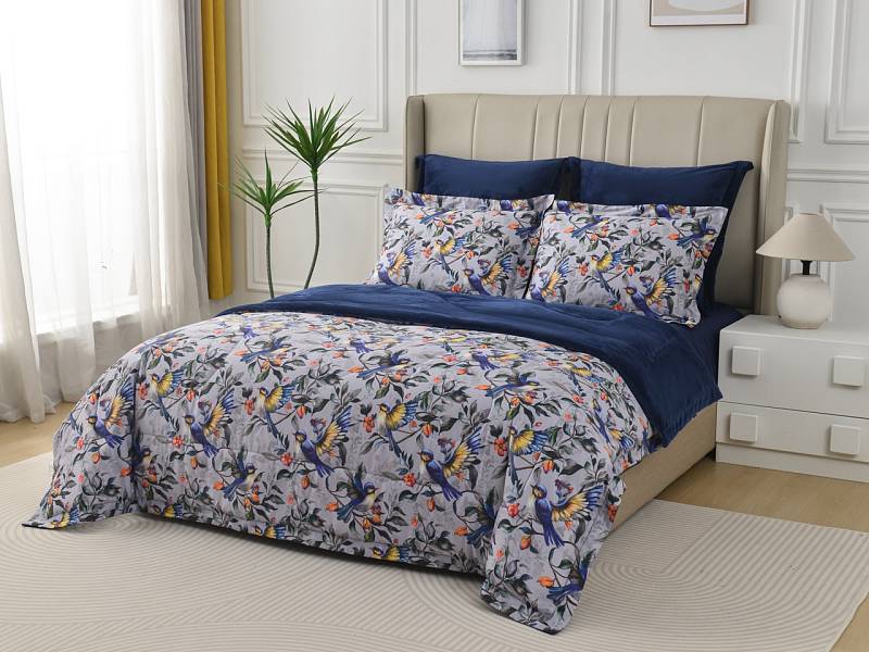 Ренато №1 Комплект 7Е