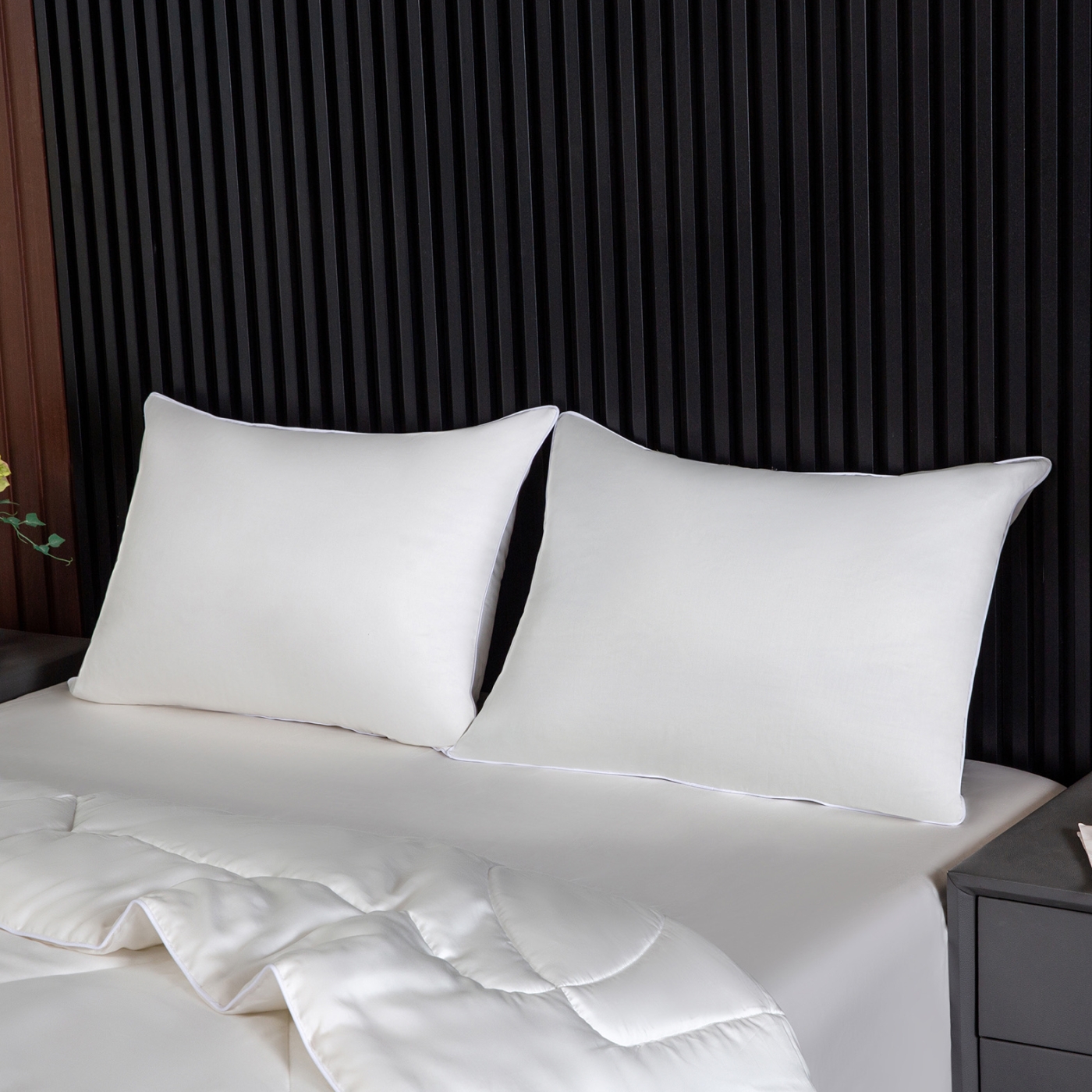 Рафаэль №4У Комплект Евро